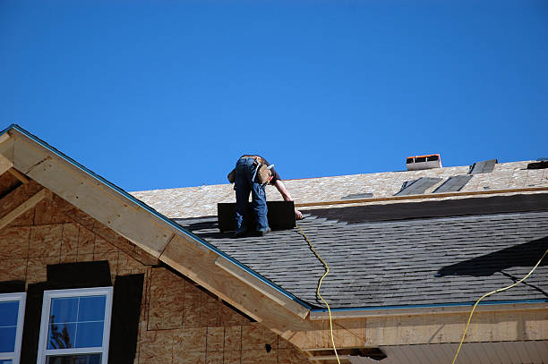 Best Roof Repair Services  in Scottville, MI