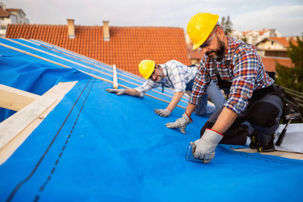 Best New Roof Installation  in Scottville, MI