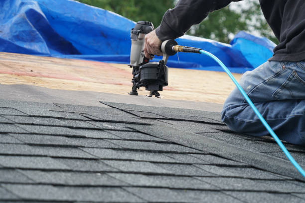 Best Sealant for Roof  in Scottville, MI